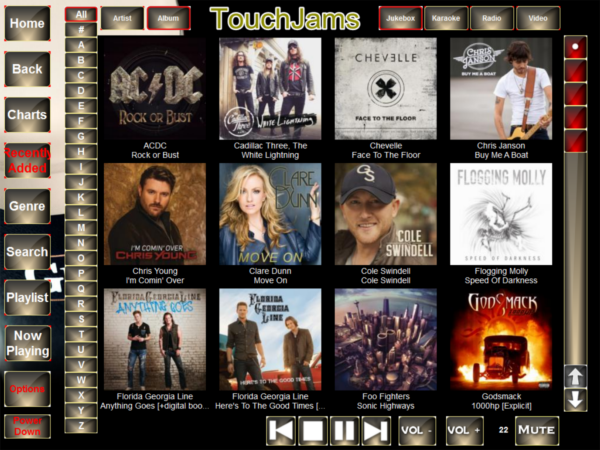 mareks petersons guinness